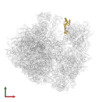 Small ribosomal subunit protein uS13 in PDB entry 5hd1, assembly 2, front view.