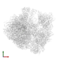 Pyrrhocoricin in PDB entry 5hd1, assembly 2, front view.