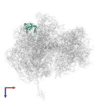 Large ribosomal subunit protein uL13 in PDB entry 5hd1, assembly 2, top view.