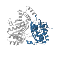 The deposited structure of PDB entry 5hdm contains 2 copies of CATH domain 3.90.1150.10 (Aspartate Aminotransferase, domain 1) in Glutamate-1-semialdehyde 2,1-aminomutase 1, chloroplastic. Showing 1 copy in chain A.