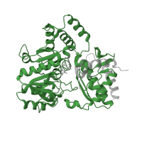 The deposited structure of PDB entry 5hdm contains 2 copies of Pfam domain PF00202 (Aminotransferase class-III) in Glutamate-1-semialdehyde 2,1-aminomutase 1, chloroplastic. Showing 1 copy in chain A.