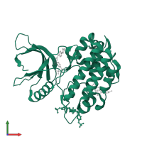 Tyrosine-protein kinase JAK2 in PDB entry 5hez, assembly 1, front view.