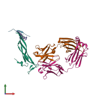 PDB entry 5hhv coloured by chain, front view.