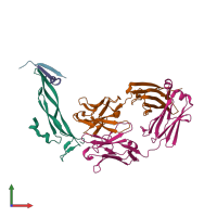 PDB entry 5hhx coloured by chain, front view.