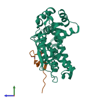 Hetero dimeric assembly 1 of PDB entry 5hkz coloured by chemically distinct molecules, side view.