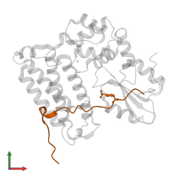 Protein sprouty homolog 2 in PDB entry 5hkz, assembly 1, front view.