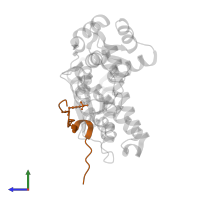 Protein sprouty homolog 2 in PDB entry 5hkz, assembly 1, side view.