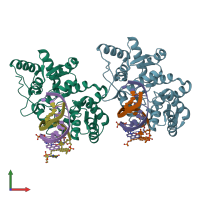 PDB entry 5hlt coloured by chain, front view.