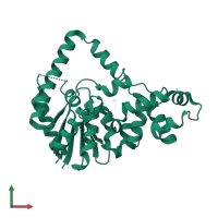 Flap endonuclease in PDB entry 5hmm, assembly 1, front view.