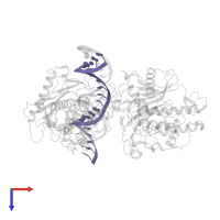 RNA (5'-R(*GP*AP*CP*UP*GP*AP*AP*CP*GP*AP*CP*CP*AP*AP*UP*GP*UP*GP*GP*GP*GP*AP*A)-3') in PDB entry 5hp3, assembly 1, top view.