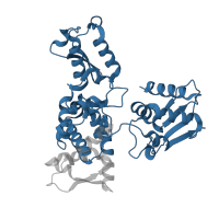 The deposited structure of PDB entry 5hpk contains 1 copy of Pfam domain PF00632 (HECT-domain (ubiquitin-transferase)) in E3 ubiquitin-protein ligase NEDD4-like. Showing 1 copy in chain A.