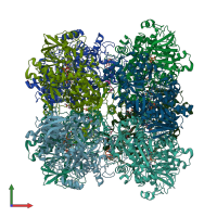 PDB entry 5hsa coloured by chain, front view.