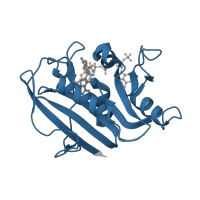 The deposited structure of PDB entry 5hsr contains 1 copy of Pfam domain PF00186 (Dihydrofolate reductase) in Dihydrofolate reductase. Showing 1 copy in chain A.