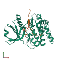 PDB entry 5hu3 coloured by chain, front view.