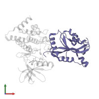 Cofilin-1 in PDB entry 5hvk, assembly 2, front view.