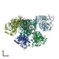 PDB entry 5hxw coloured by chain, front view.