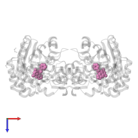6-AMINO-4-(2-PHENYLETHYL)-1,7-DIHYDRO-8H-IMIDAZO[4,5-G]QUINAZOLIN-8-ONE in PDB entry 5i07, assembly 1, top view.