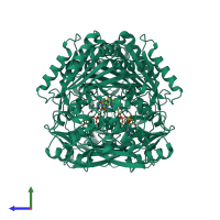 Homo dimeric assembly 2 of PDB entry 5i1v coloured by chemically distinct molecules, side view.