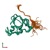 PDB entry 5i22 coloured by chain, ensemble of 20 models, front view.