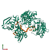 Hetero dimeric assembly 2 of PDB entry 5i4a coloured by chemically distinct molecules, front view.