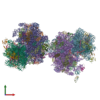 PDB entry 5i4l coloured by chain, front view.