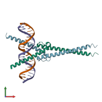 PDB entry 5i50 coloured by chain, front view.