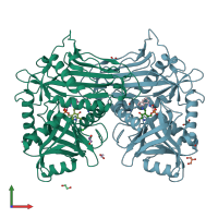 PDB entry 5i5u coloured by chain, front view.