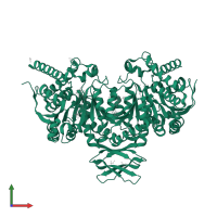 Isocitrate dehydrogenase [NADP], mitochondrial in PDB entry 5i96, assembly 1, front view.