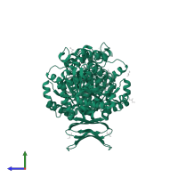 Isocitrate dehydrogenase [NADP], mitochondrial in PDB entry 5i96, assembly 1, side view.
