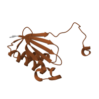 The deposited structure of PDB entry 5ib7 contains 2 copies of Pfam domain PF00411 (Ribosomal protein S11) in Small ribosomal subunit protein uS11. Showing 1 copy in chain OB [auth 2A].