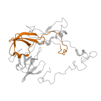 The deposited structure of PDB entry 5ib7 contains 2 copies of Pfam domain PF00181 (Ribosomal Proteins L2, RNA binding domain) in Large ribosomal subunit protein uL2. Showing 1 copy in chain FC [auth 19].