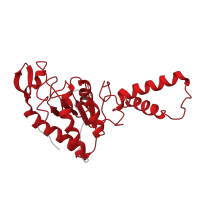 The deposited structure of PDB entry 5ib7 contains 2 copies of Pfam domain PF00318 (Ribosomal protein S2) in Small ribosomal subunit protein uS2. Showing 1 copy in chain B [auth 1E].