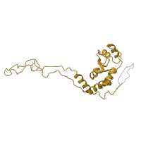 The deposited structure of PDB entry 5ib7 contains 2 copies of Pfam domain PF00573 (Ribosomal protein L4/L1 family) in Large ribosomal subunit protein uL4. Showing 1 copy in chain HC [auth 39].
