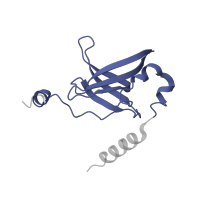 The deposited structure of PDB entry 5ib7 contains 2 copies of Pfam domain PF01245 (Ribosomal protein L19) in Large ribosomal subunit protein bL19. Showing 1 copy in chain OA [auth B8].