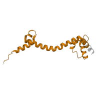 The deposited structure of PDB entry 5ib7 contains 2 copies of Pfam domain PF00453 (Ribosomal protein L20) in Large ribosomal subunit protein bL20. Showing 1 copy in chain SC [auth 85].