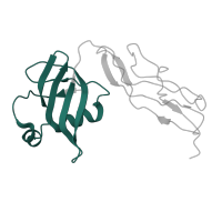 The deposited structure of PDB entry 5ib7 contains 2 copies of Pfam domain PF01386 (Ribosomal L25p family) in Large ribosomal subunit protein bL25. Showing 1 copy in chain XC [auth D5].