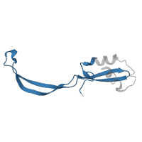 The deposited structure of PDB entry 5ib7 contains 2 copies of Pfam domain PF00830 (Ribosomal L28 family) in Large ribosomal subunit protein bL28. Showing 1 copy in chain WA [auth J8].