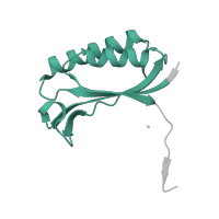 The deposited structure of PDB entry 5ib7 contains 2 copies of Pfam domain PF01250 (Ribosomal protein S6) in Small ribosomal subunit protein bS6. Showing 1 copy in chain JB [auth 52].