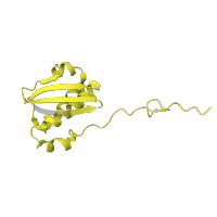 The deposited structure of PDB entry 5ib7 contains 2 copies of Pfam domain PF00380 (Ribosomal protein S9/S16) in Small ribosomal subunit protein uS9. Showing 1 copy in chain I [auth 8E].