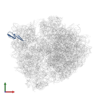 Small ribosomal subunit protein uS10 in PDB entry 5ib7, assembly 1, front view.