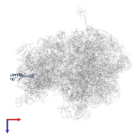 Small ribosomal subunit protein uS10 in PDB entry 5ib7, assembly 1, top view.