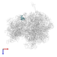 Small ribosomal subunit protein uS15 in PDB entry 5ib7, assembly 1, top view.