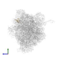 Small ribosomal subunit protein uS19 in PDB entry 5ib7, assembly 1, side view.