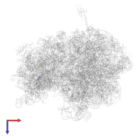 Small ribosomal subunit protein bTHX in PDB entry 5ib7, assembly 1, top view.