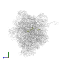 Messenger RNA in PDB entry 5ib7, assembly 1, side view.