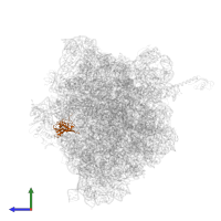 Large ribosomal subunit protein uL13 in PDB entry 5ib7, assembly 1, side view.