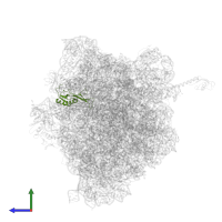 Large ribosomal subunit protein uL16 in PDB entry 5ib7, assembly 1, side view.