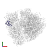 Small ribosomal subunit protein uS3 in PDB entry 5ib7, assembly 1, front view.