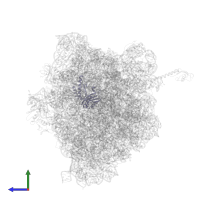Small ribosomal subunit protein uS3 in PDB entry 5ib7, assembly 1, side view.
