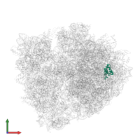 Large ribosomal subunit protein bL20 in PDB entry 5ib7, assembly 1, front view.